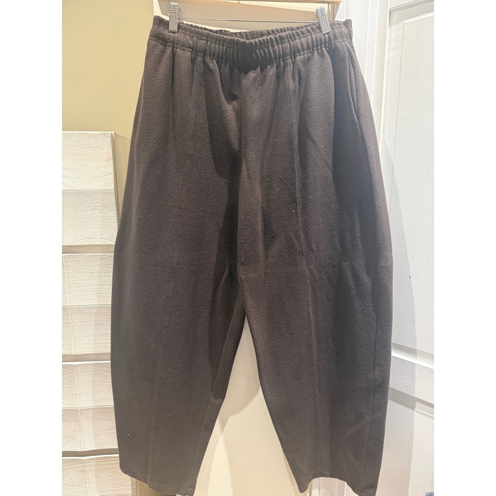 Zara Womens Brown Fleece Pintuck Tapered Elastic Waist Pants Large